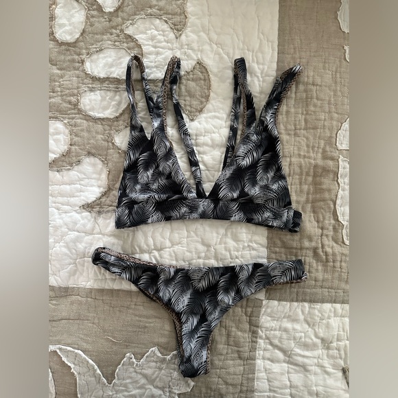 Acacia - Picture 2 of 2